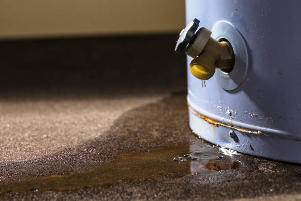Best Mold removal after water damage  in Cambridge, MN
