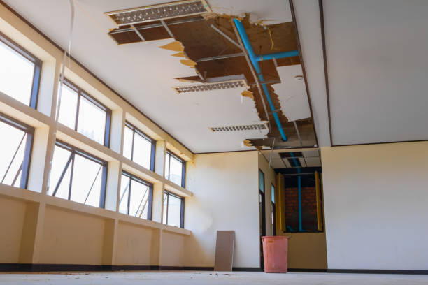 Best Carpet water damage restoration  in Cambridge, MN