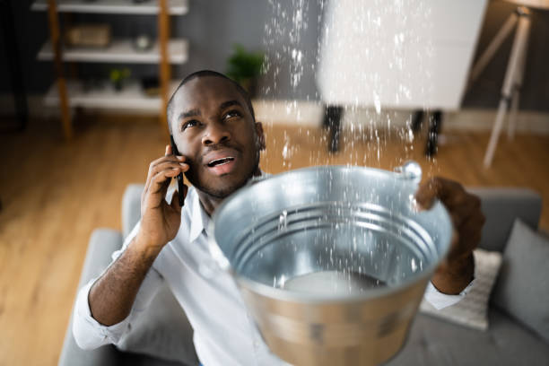 Best Water damage mitigation services  in Cambridge, MN