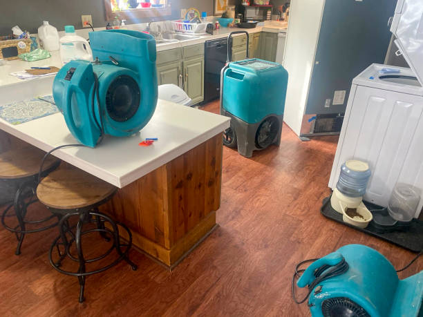 Best Water damage contractors near me  in Cambridge, MN
