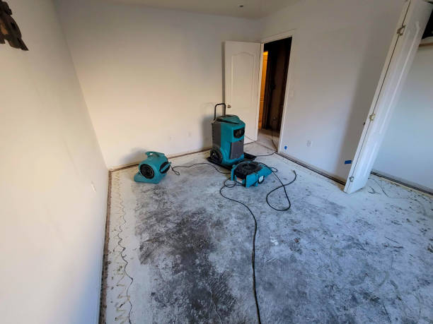 Best Carpet water damage restoration  in Cambridge, MN