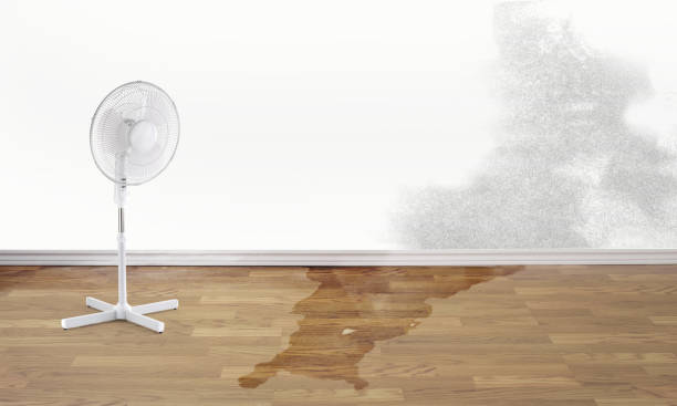 Best Commercial water damage restoration  in Cambridge, MN