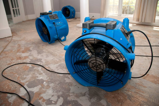 Best Flood damage cleanup  in Cambridge, MN