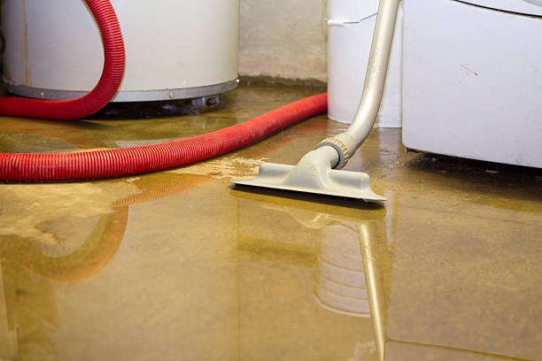 Best Water damage contractors near me  in Cambridge, MN