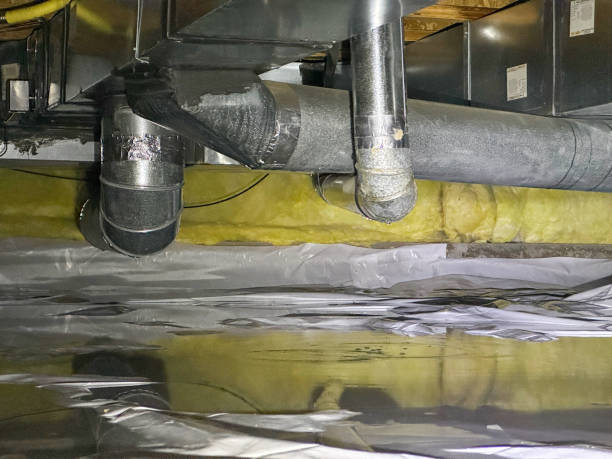 Best Water damage restoration near me  in Cambridge, MN