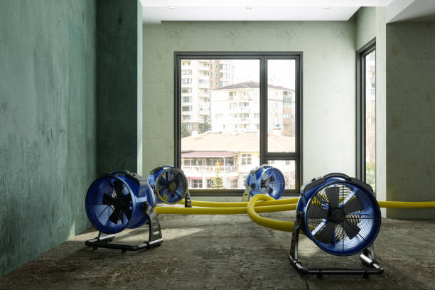 Best Emergency water damage restoration  in Cambridge, MN