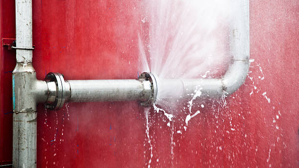 Best Flooded house restoration  in Cambridge, MN