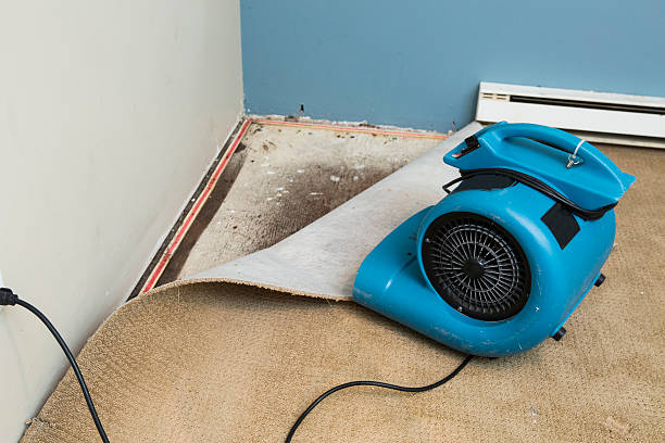 Best Commercial water damage restoration  in Cambridge, MN